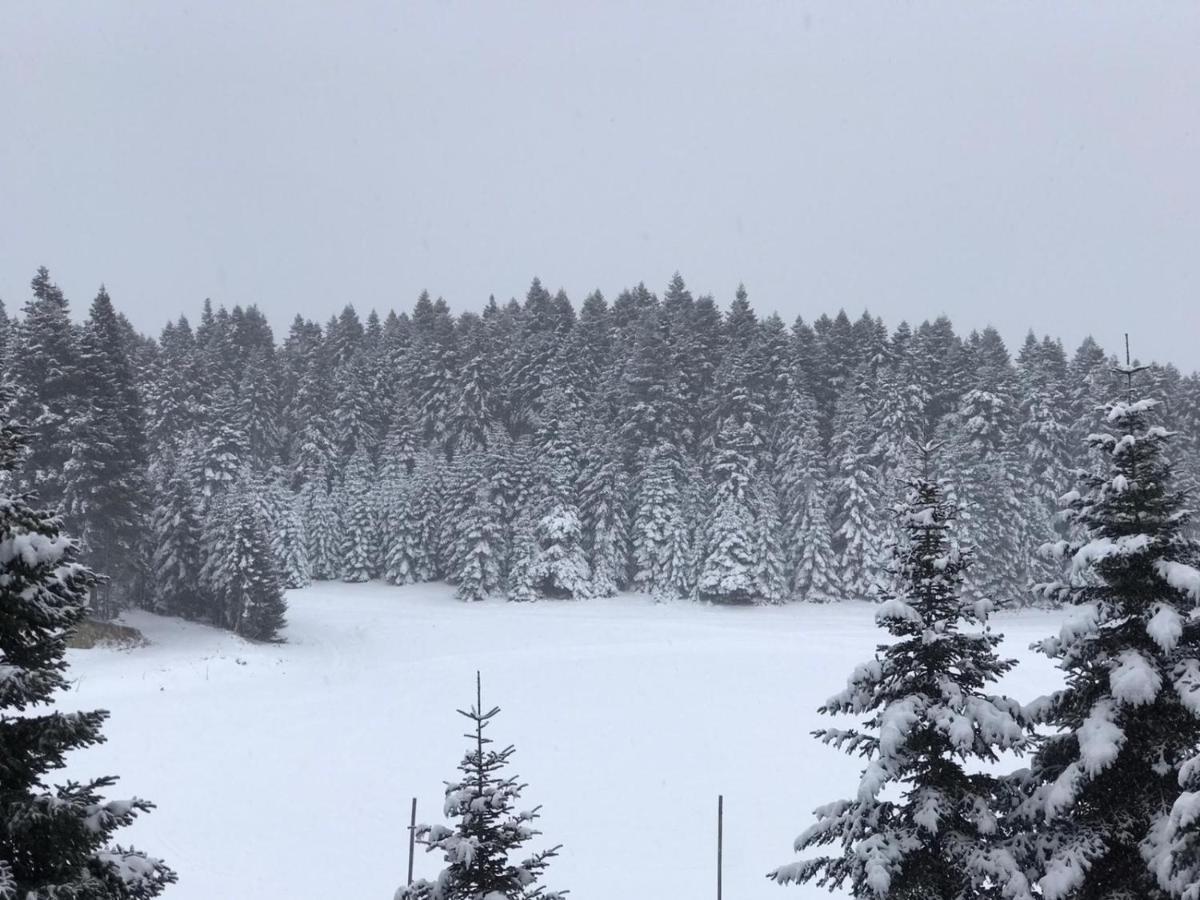 Elifim Resort Hotel Bolu Zewnętrze zdjęcie
