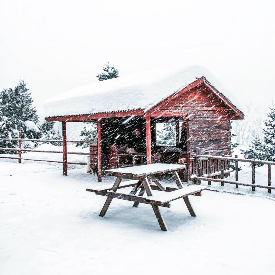 Elifim Resort Hotel Bolu Zewnętrze zdjęcie
