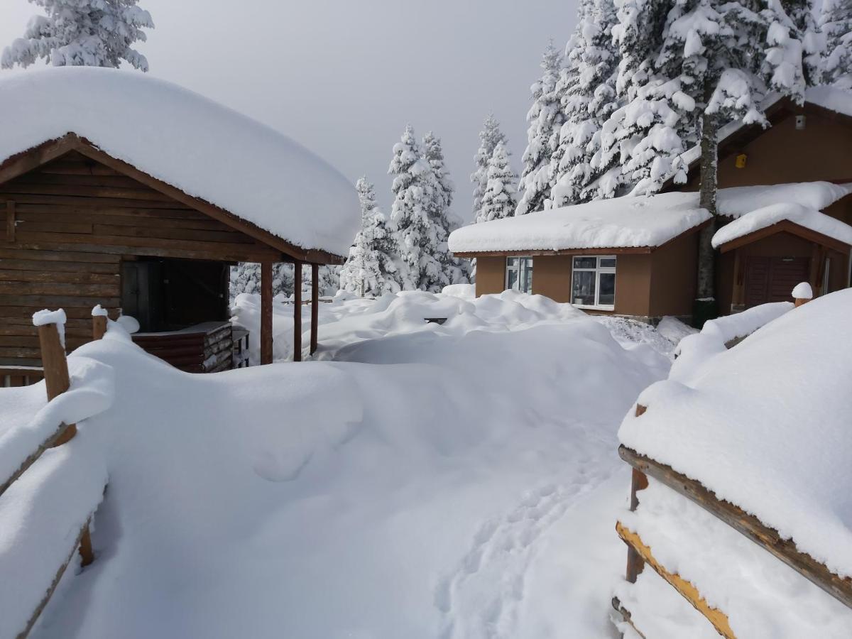 Elifim Resort Hotel Bolu Zewnętrze zdjęcie