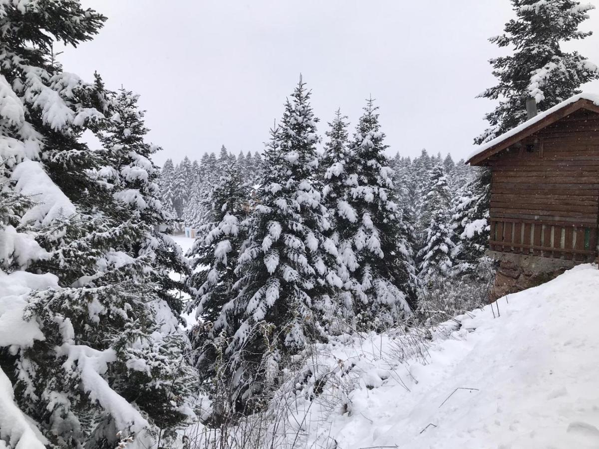 Elifim Resort Hotel Bolu Zewnętrze zdjęcie